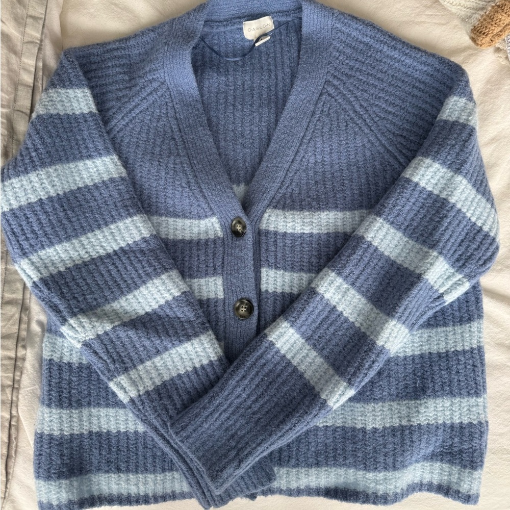 Caslon Blue and Light Blue Wool Blend Striped Cardigan